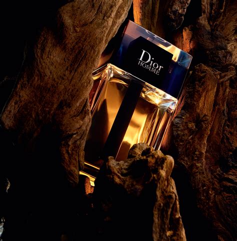 fragrantica dior homme|fragrantica dior homme 2020.